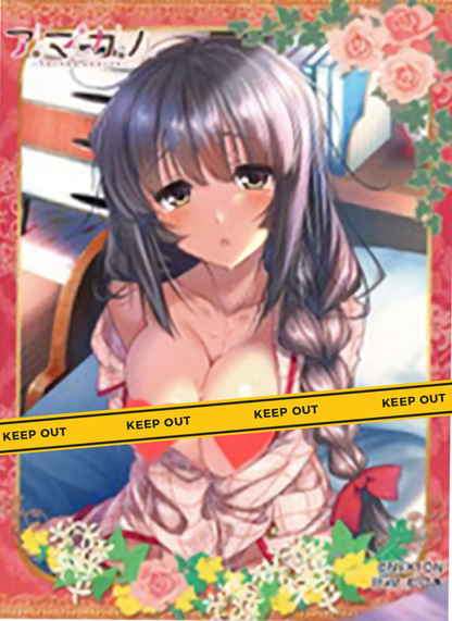 Amakano Takayashiro Yuzuka Character H Sleeves