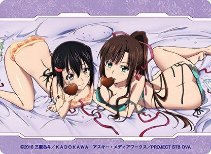 Strike the Blood II Yukina Sayaka Asagi Storage Box w/Dividers