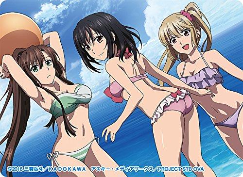 Strike the Blood II Yukina Sayaka Asagi Storage Box w/Dividers V.2