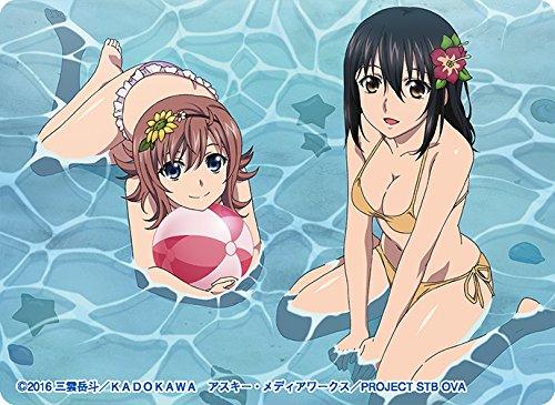 Strike the Blood II Yukina Sayaka Asagi Storage Box w/Dividers V.2