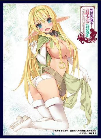 How NOT to Summon a Demon Lord Shera L Greenwood Sleeves Vol.7