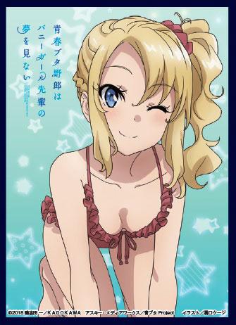 AoButa Rascal Dream Bunny Girl Senpai Nodoka Toyohama Character Mat Sleeves Vol.30