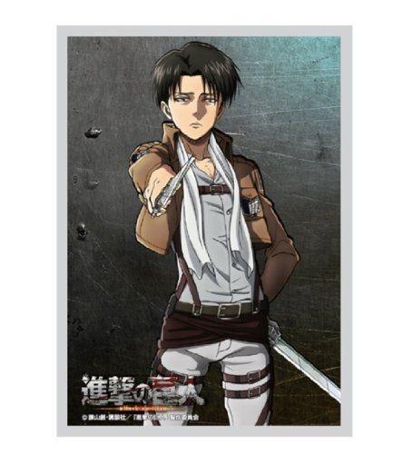Attack on Titan Look to Gouge Levi Character Sleeves SNK