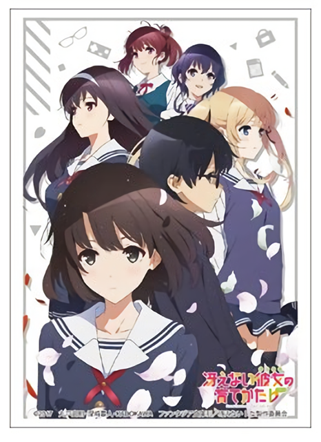 Saekano Megumi, Eriri, Utaha, Tomoya, Michiru Sleeves HG Vol.1302 Part.2