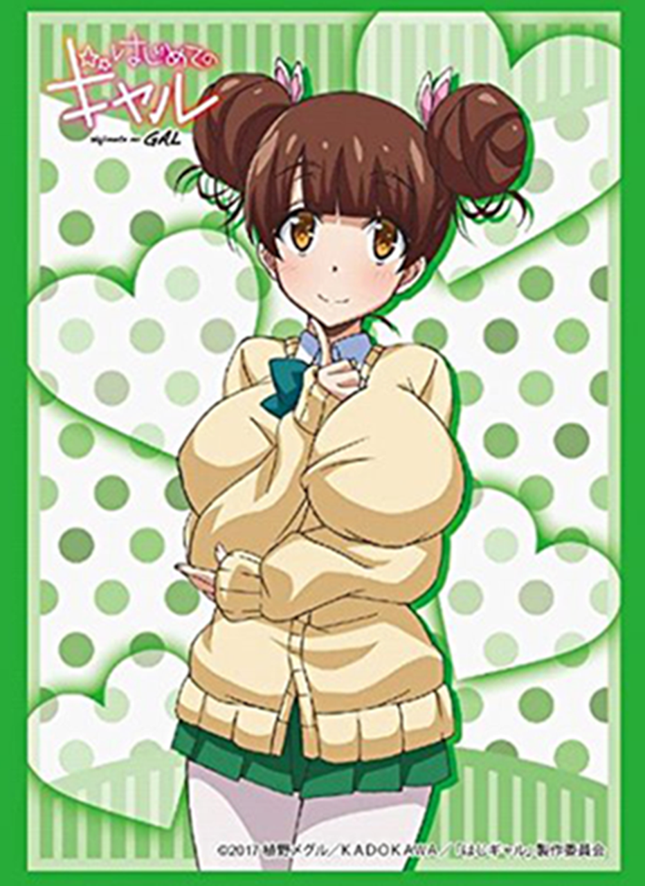 Hajimete no Gal Yui Kashii Sleeves HG Vol.1356