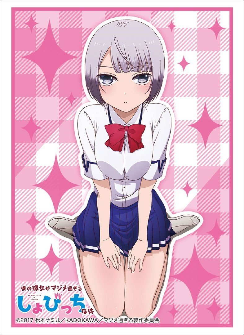 My Girlfriend is Shobitch Akiho Kosaka Character Sleeves HG Vol.1430