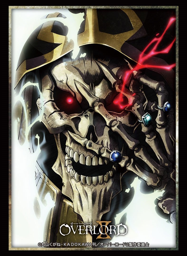 Overlord Ainz Ooal Gown Character Sleeves HG Vol.1491
