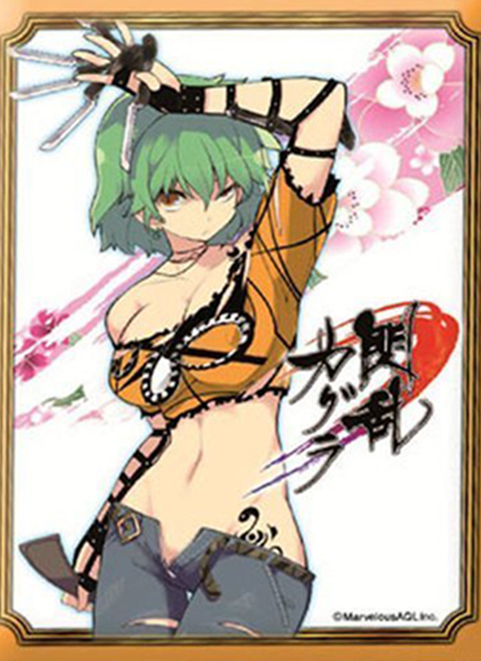 Senran Kagura Hikage Sleeves EX Anime