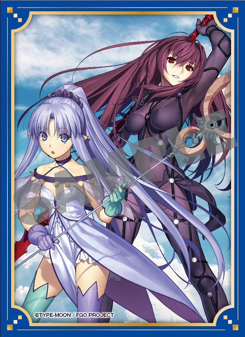 Fate/Grand Order Lancer Scathach Shishou & Medea Lily Caster Sleeves 80CT Vol.8 Comptiq Cover FGO