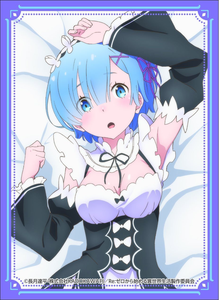 Re:Zero Rem Character Sleeves Vol.21 KS-64 80pcs