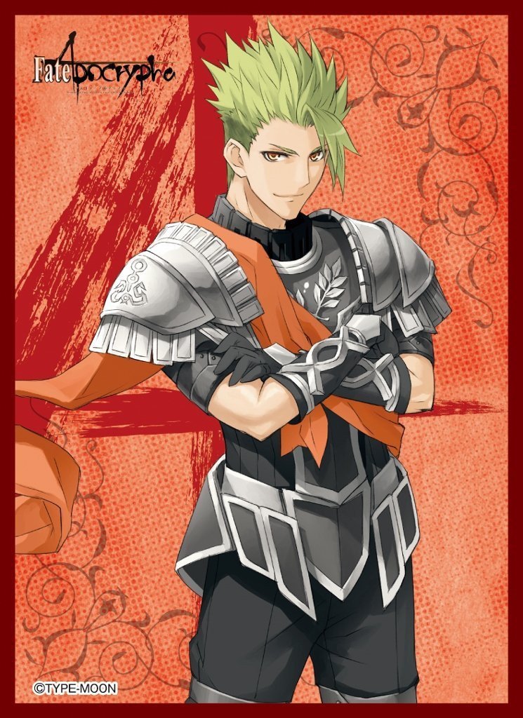 Fate/Apocrypha Rider of Red Achilles Mat Sleeves MT103