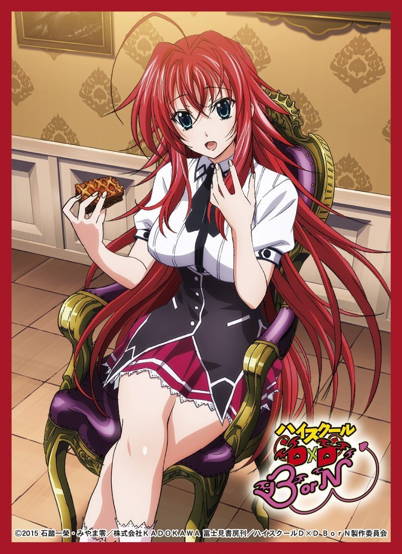 High School DxD BorN Deluxe Gremory Rias Sleeves No.DX014