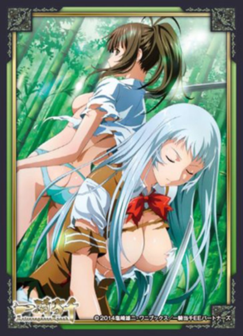 Ikki Tousen Extravaganza Epoch Choun & Mitsuyoshi -Character Sleeves 65CT EMN-011