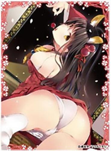 Creator's Collection Yu Tachibana Sleeves EN-171