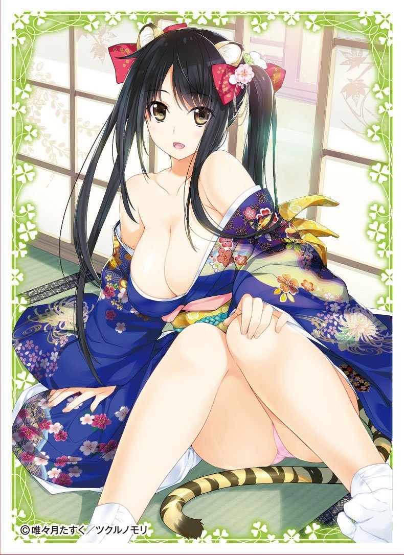 Creators Collection Tasuku Iizuki Sleeves EN-455