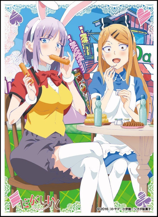 Dagashi Kashi Hotaru Shidare & Saya Endo F Sleeves EN-327