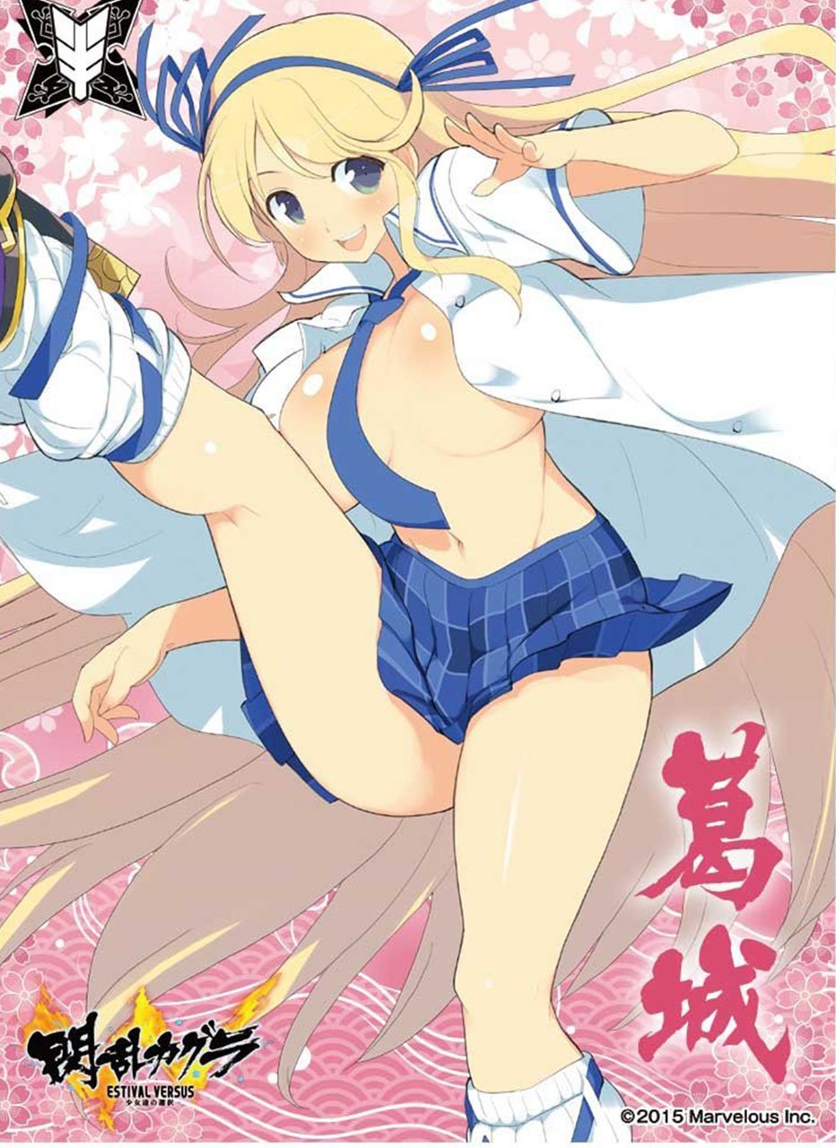 Senran Kagura Estival Versus Katsuragi Sleeves EN-467