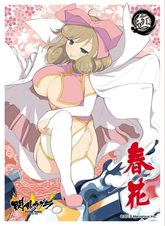 Senran Kagura Estival Versus Haruka Sleeves EN-438