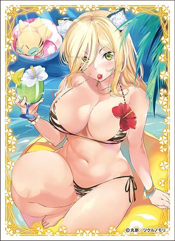 Creators Collection Marushin B Character Sleeves EN-676 Ecchi
