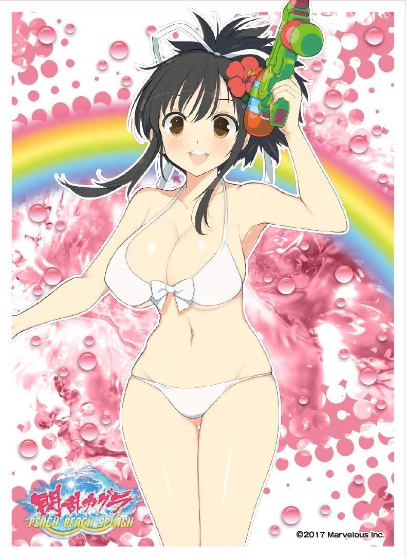 Senran Kagura Peach Beach Splash Asuka B Character Sleeves EN-604