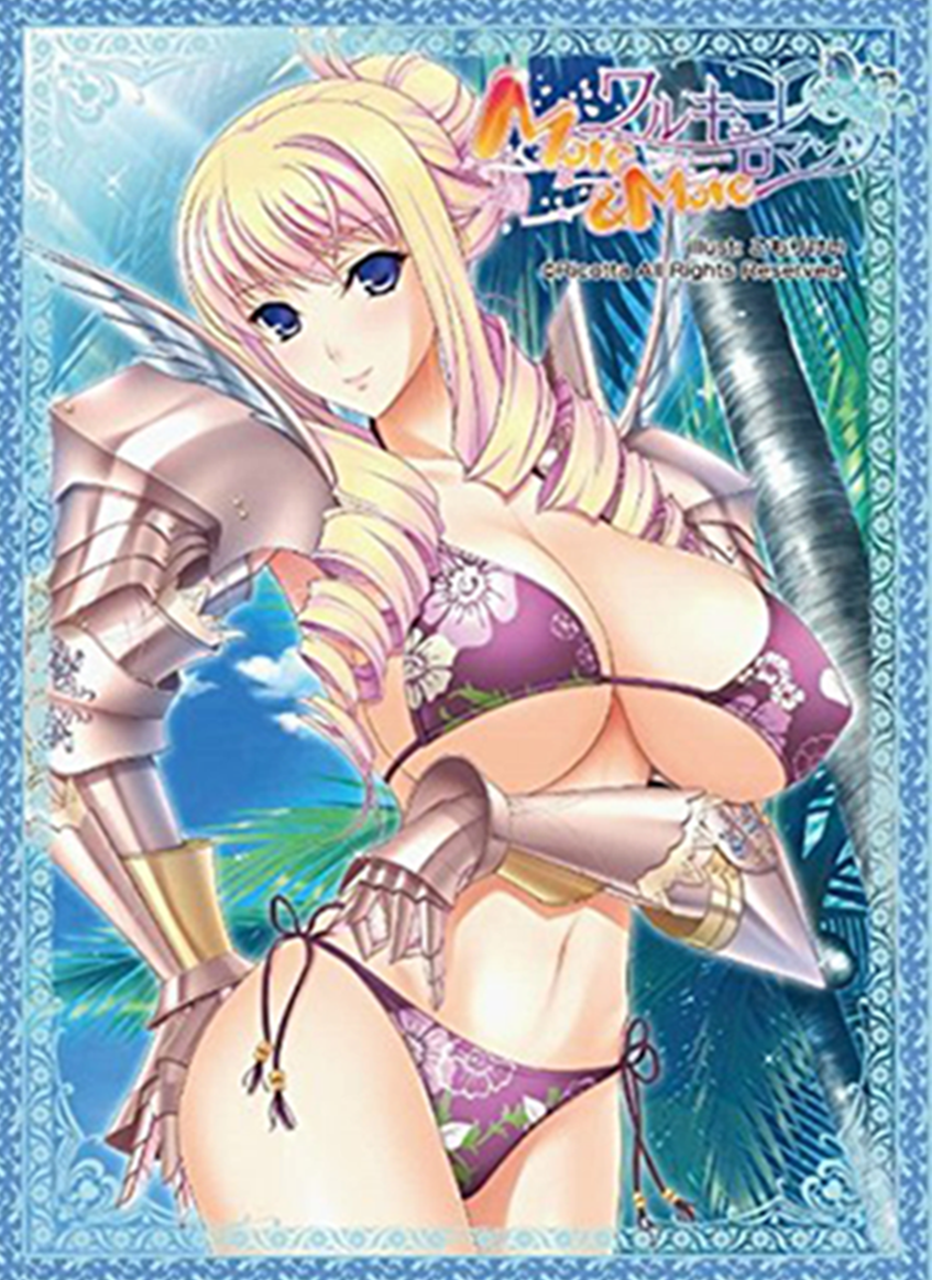 Walkure Romanze Bertille Sleeves Vol.089