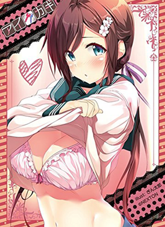 Aikagi Shiori Takanashi Sleeves Vol.078