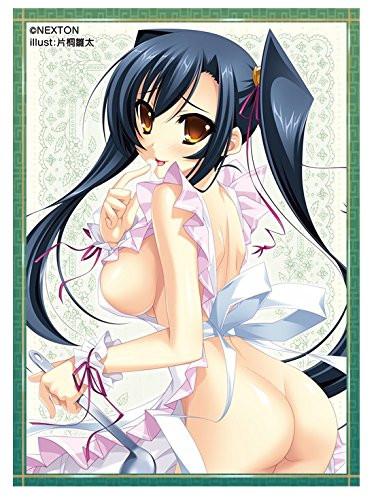Sengoku Koihime Kanu/Aisha Sleeves Vol.025