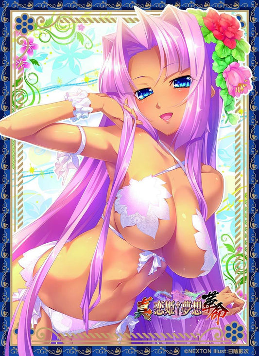 Shin Koihime Musou Sonken (Renfa) Ver.B Character Sleeves Vol.090