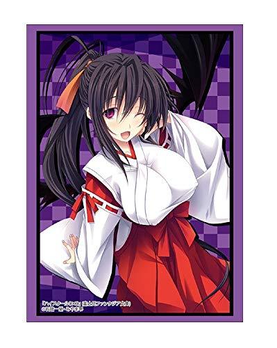 High School DxD Akeno Himejima Character Sleeves HG Vol.2064