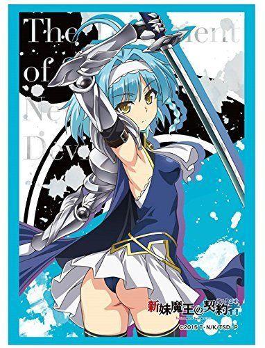 Testament of Sister New Devil Nonaka Yuki Sleeves HG