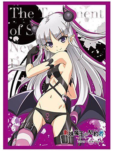 Testament of Sister New Devil Naruse Maria Sleeves HG