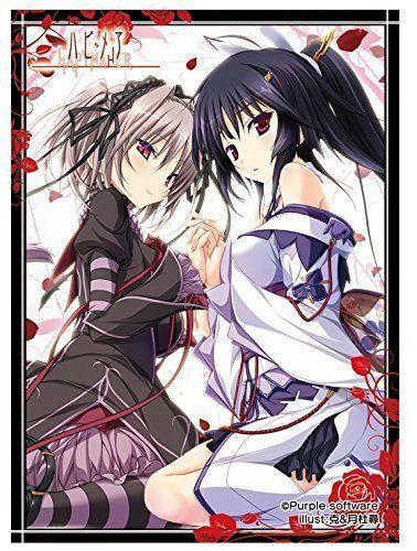 Maia & Saki Nexnet Girls Sleeves Hapymaher Vol.004