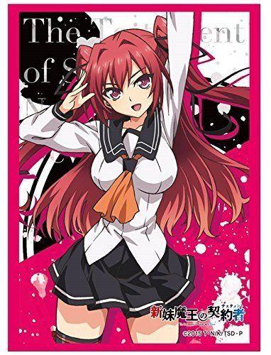 Testament of Sister New Devil Naruse Mio Sleeves HG