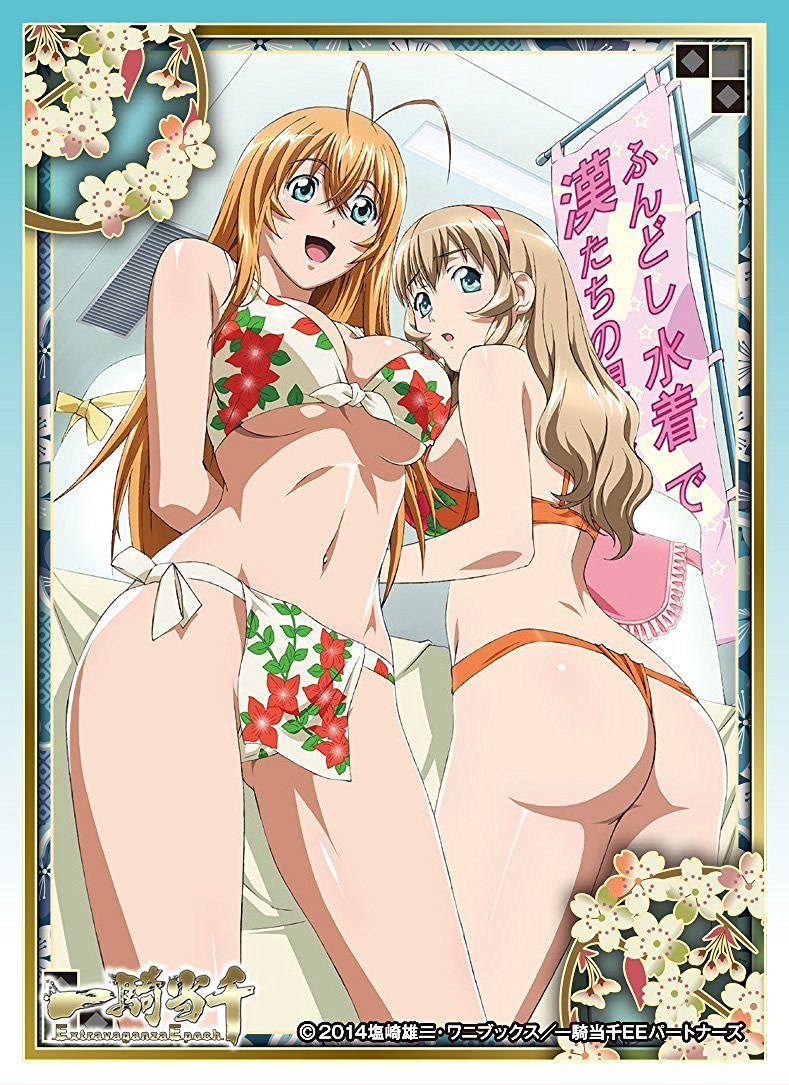 Ikki Tousen Extravaganza Epoch Sonsaku & Sonken Character Sleeves 65CT EN-269