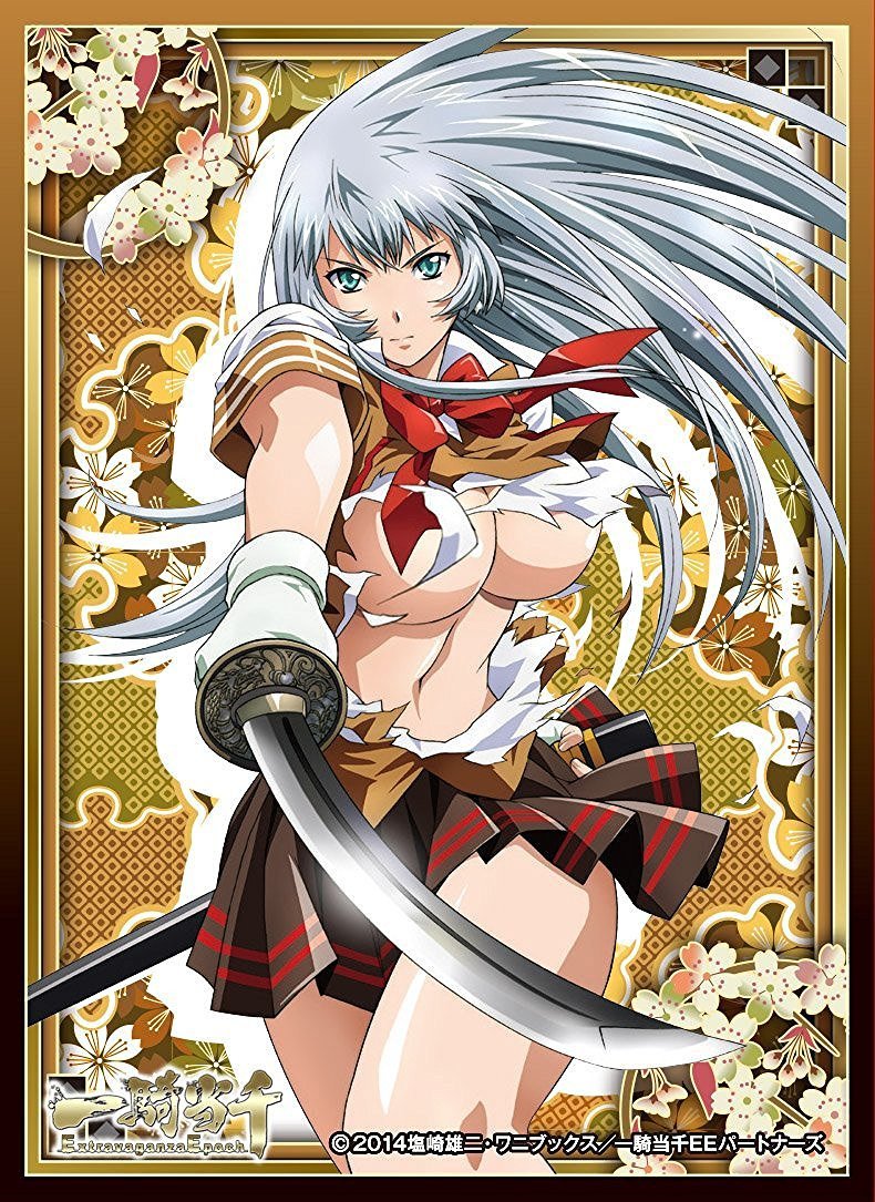 Ikki Tousen Extravaganza Epoch Choun Shiryu B Character Sleeves 65CT EN-267