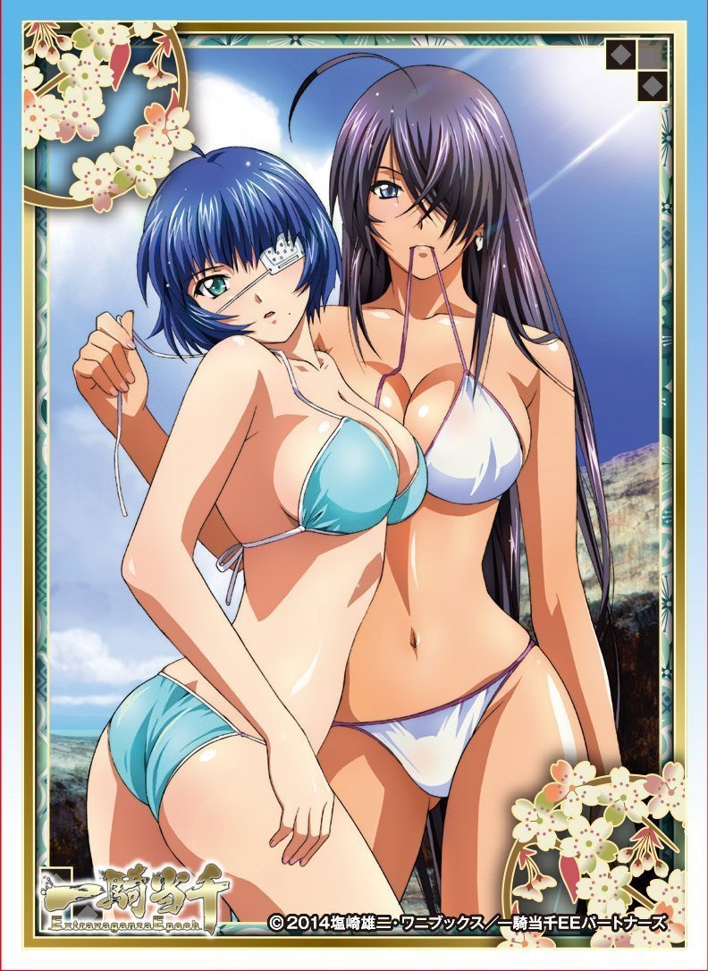 Ikki Tousen Ryomo & Kanu B Character Sleeves 65CT EN-268