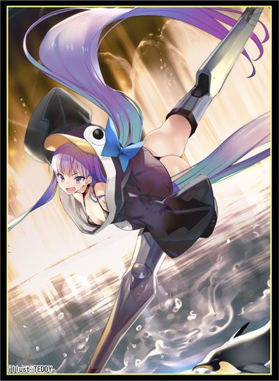 C97 Fate Grand Order FGO Meltryllis Lancer Summer Swimsuit Ver. Circle Cluster Doujin Character Sleeves