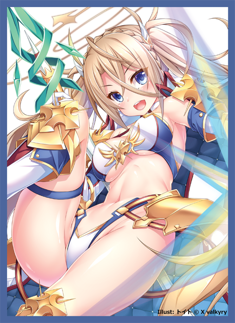 COMIC☆1 15 Fate Grand Order Lancer Bradamante Front Doujin Character Sleeves FGO