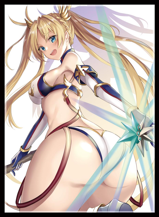 COMIC☆1 15 Fate Grand Order Lancer Bradamante Back Doujin Character Sleeves FGO