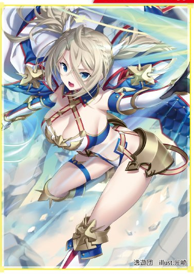 COMIC☆1 15 Fate Grand Order Lancer Bradamante illust. Kousaki Doujin Character Sleeves FGO