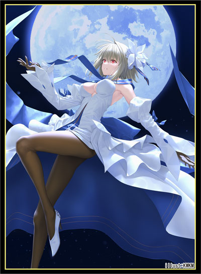 Tsukihime Fate/Grand Order Arcueid/Archetype Earth Character Sleeves