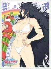 Senran Kagura Peach Beach Splash Daid?ji Character Sleeves