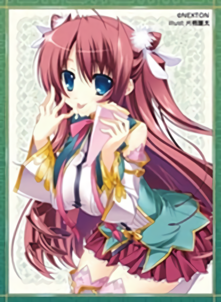 Koihime†Musou Nexton Girls Ryubi/Toka Character Sleeves Vol.029