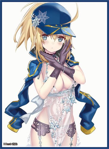 C96 Fate Mysterious Heroine XX (Double X) Alterego Foreigner Royal Icing Ver. Circle Frontier Game Doujin Character Sleeves