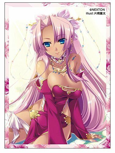 Koihime†Musou Nexton Girls Sonsaku/Sheren Character Sleeves Vol.021